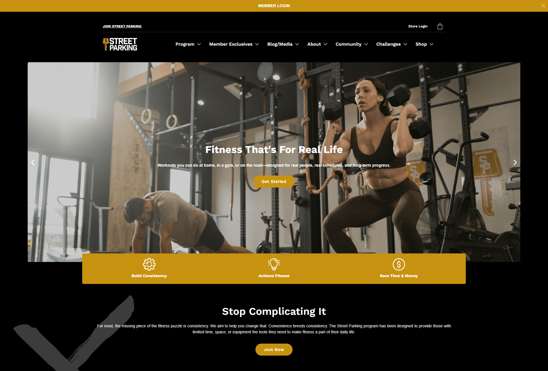 A Gym Website